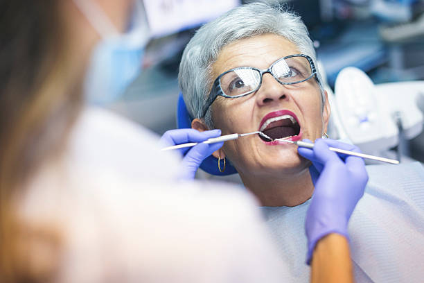 Trusted Maryland City, MD Holistic Dental Care Services Experts